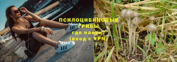 марки lsd Осташков