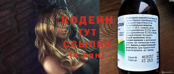 трава Няндома