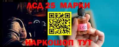 спиды Гагарин