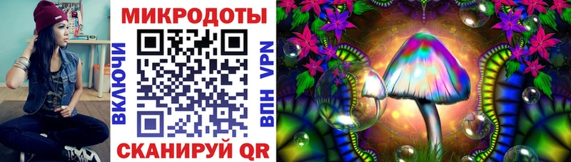где продают   Семилуки  Псилоцибиновые грибы прущие грибы 