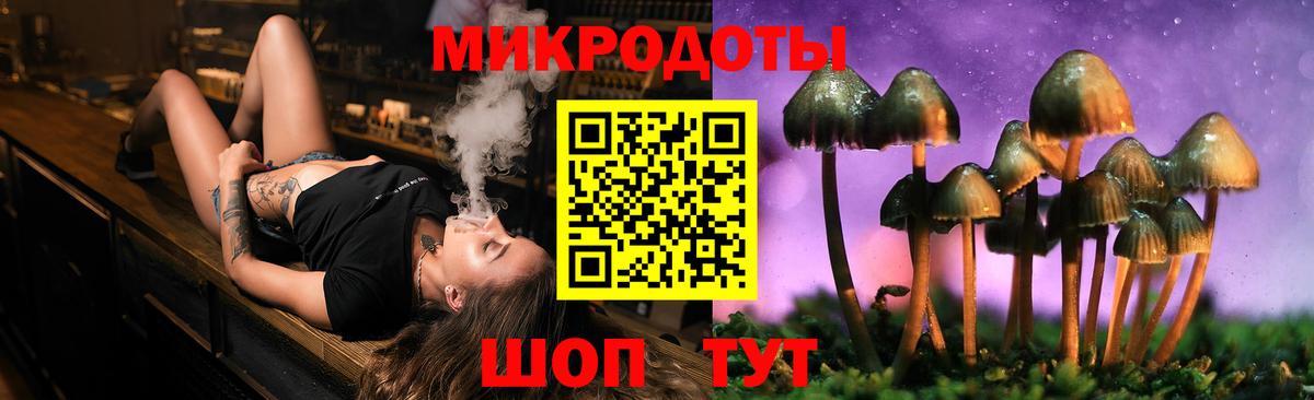 купить   Галлюциногенные грибы Magic Shrooms  Вход с VPN  Семилуки  Псилоцибиновые грибы прущие грибы 